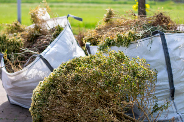 Recycling Services for Junk in Raynham Center, MA